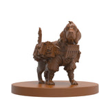 Monty the friendly Spaniel bard