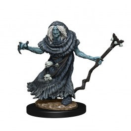 D&D Nolzur’s Marvelous Unpainted Miniatures: Sea Hag & Bheur Hag