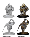 D&D Nolzur’s Marvelous Unpainted Miniatures: Female Dwarf Fighter W2